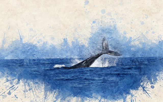 watercolor